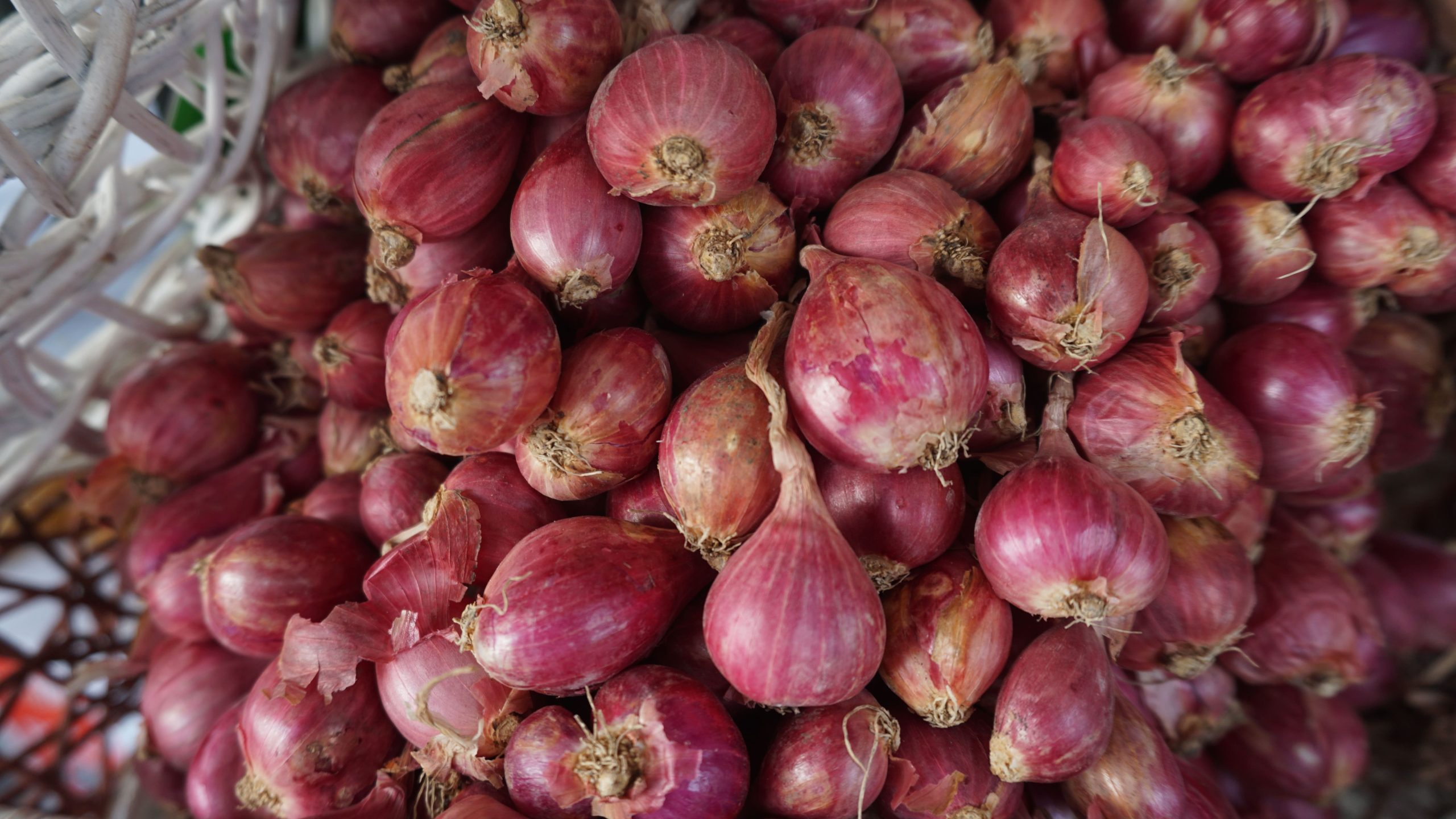 Bawang Merah